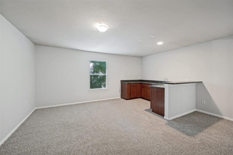 1604 Goodwin Drive, Providence Village TX 76227 - Photo 12