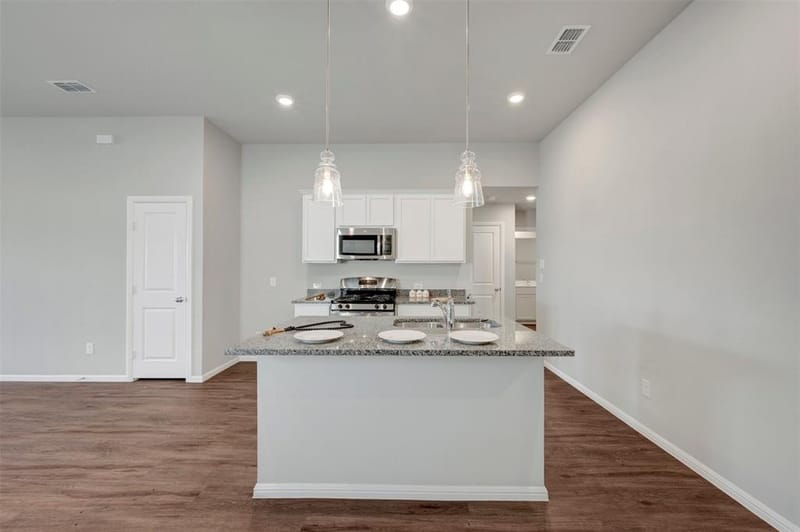 14253 Zealand Drive, Pilot Point TX 76258 - Photo 7