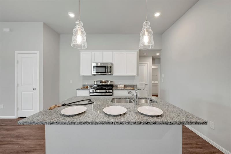 14253 Zealand Drive, Pilot Point TX 76258 - Photo 3
