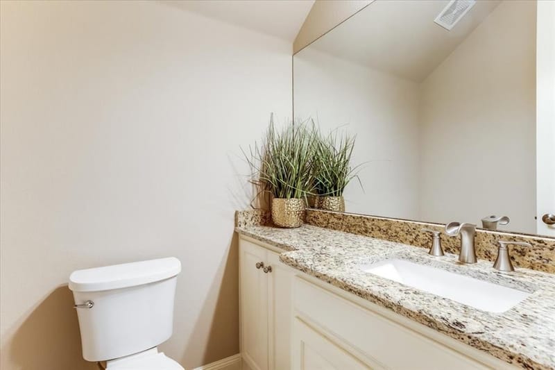 4473 Druid Hills Drive, Frisco TX 75034 - Photo 34