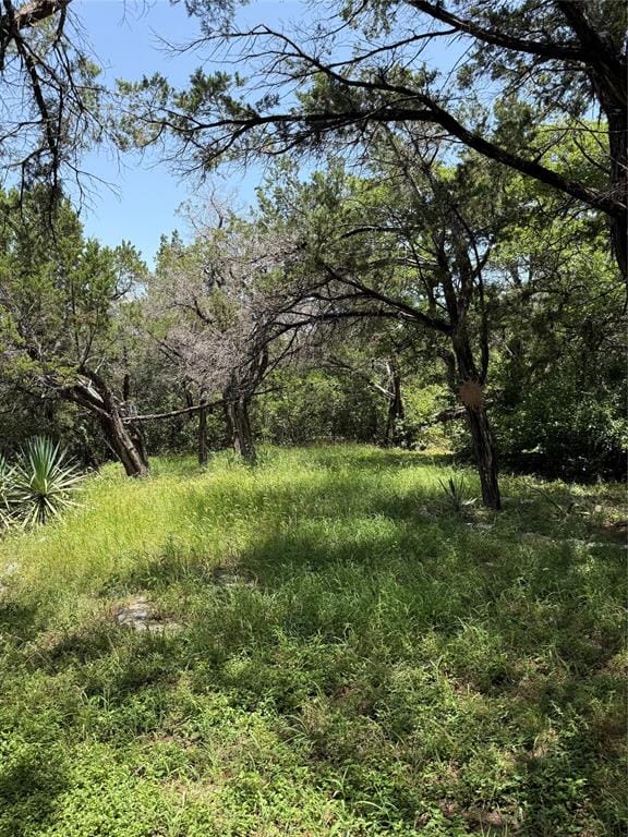 9217 Indian Trail, Rio Vista TX 76093 - Photo 34