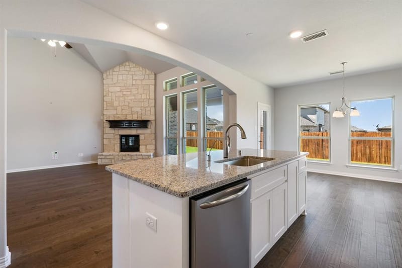2455 Lusitano Lane, Celina TX 75009 - Photo 10