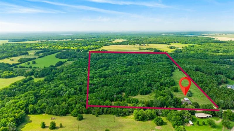 1101 County Road 2810, Honey Grove TX 75446 - Photo 22