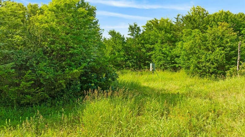 1101 County Road 2810, Honey Grove TX 75446 - Photo 14