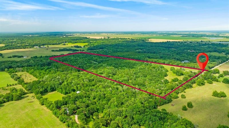 1101 County Road 2810, Honey Grove TX 75446 - Photo 15