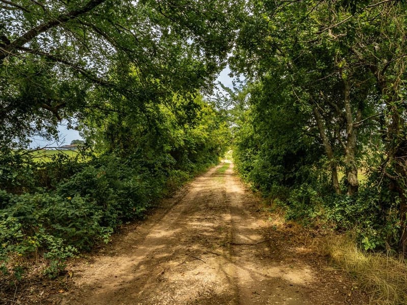 207 Cr-1750, Chico TX 76431 - Photo 27