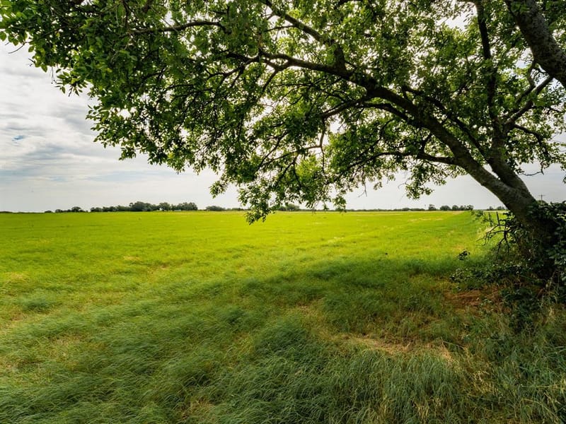 207 Cr-1750, Chico TX 76431 - Photo 6