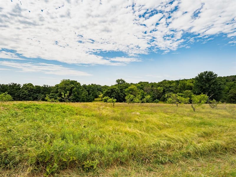 207 Cr-1750, Chico TX 76431 - Photo 22
