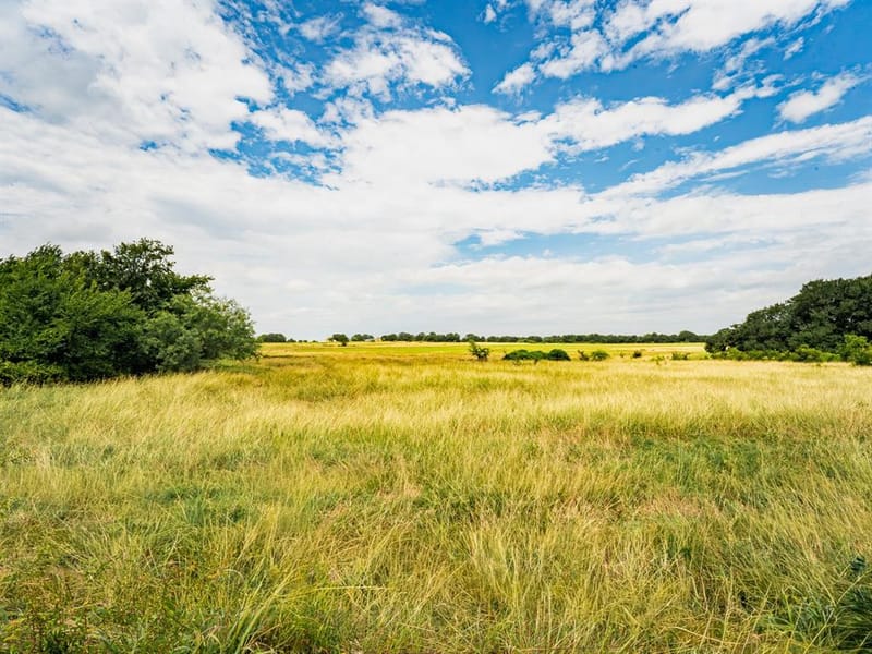 207 Cr-1750, Chico TX 76431 - Photo 20