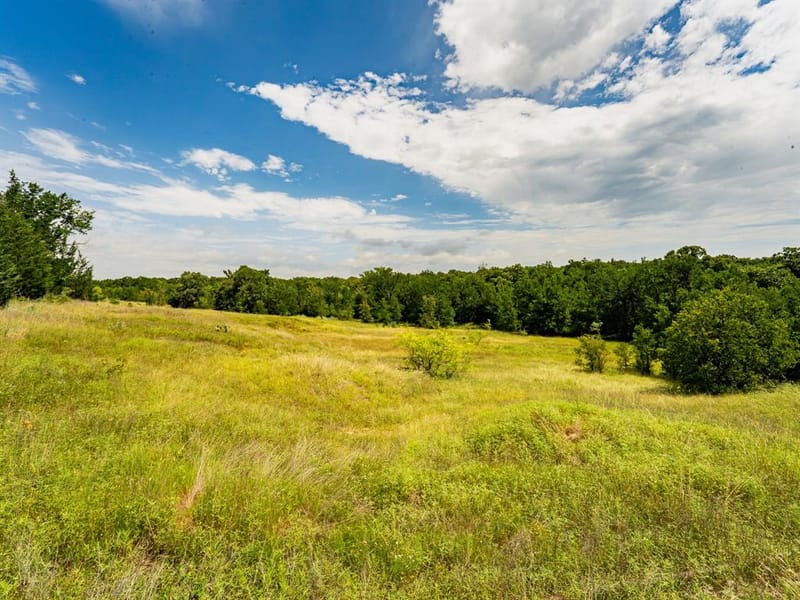 207 Cr-1750, Chico TX 76431 - Photo 10