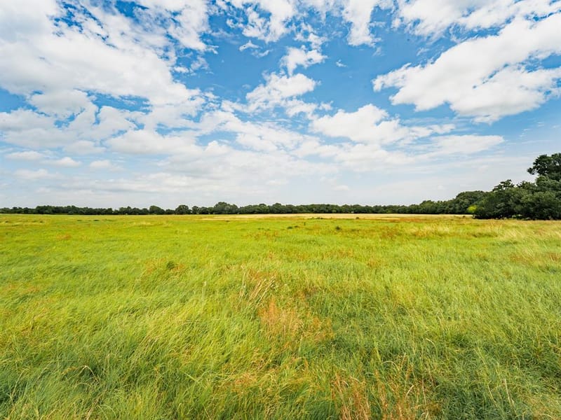 207 Cr-1750, Chico TX 76431 - Photo 14