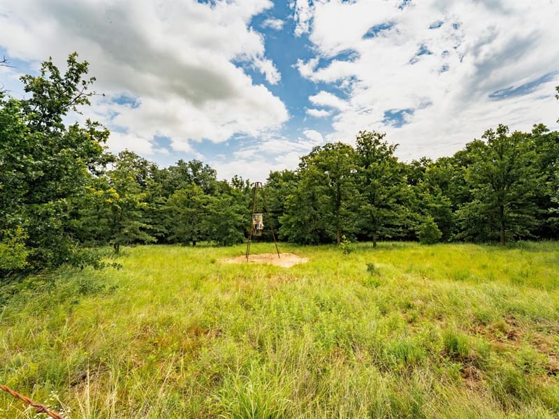 207 Cr-1750, Chico TX 76431 - Photo 29