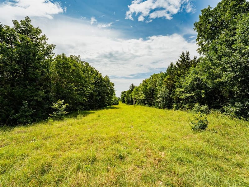 207 Cr-1750, Chico TX 76431 - Photo 25