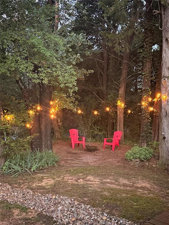 16 Park Tree Lane, Gordonville TX 76245 - Photo 40