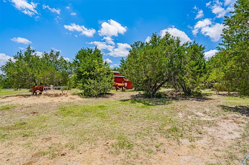 7744 Wd Court, Lipan TX 76462 - Photo 33