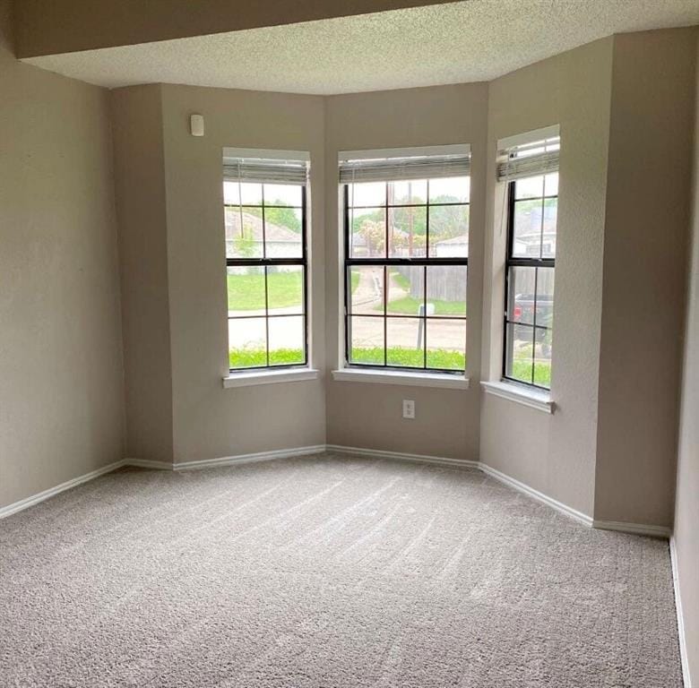 5027 Clover Haven Street, Dallas TX 75227 - Photo 6
