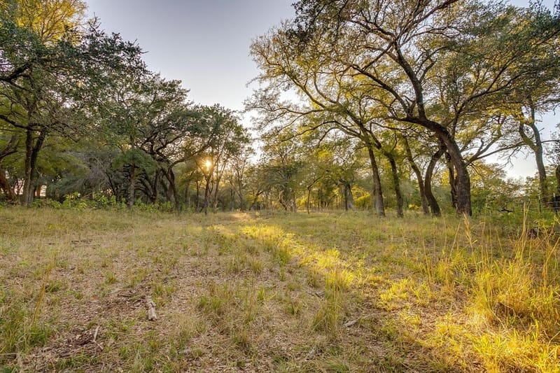 51 Cattle Trail Trail, Palo Pinto TX 76484 - Photo 3