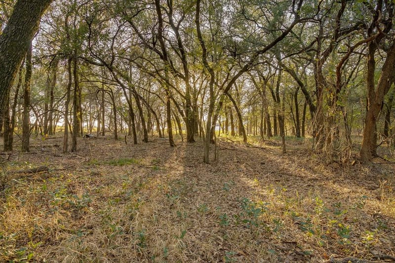 51 Cattle Trail Trail, Palo Pinto TX 76484 - Photo 14