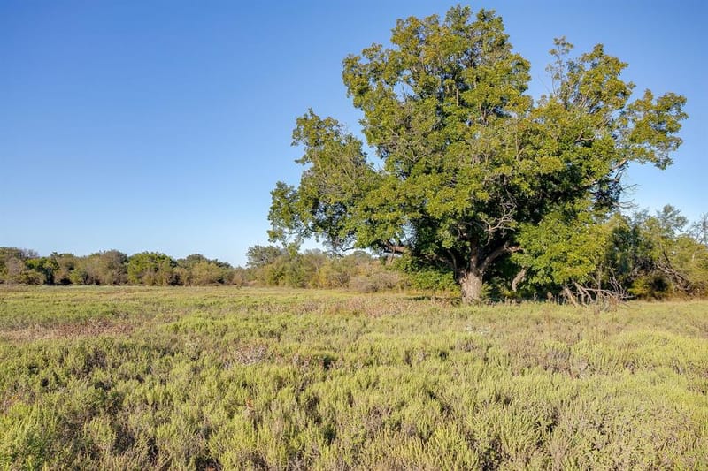 51 Cattle Trail Trail, Palo Pinto TX 76484 - Photo 18