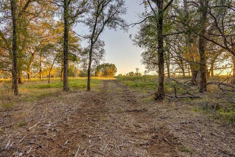 51 Cattle Trail Trail, Palo Pinto TX 76484 - Photo 11