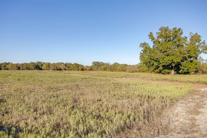 51 Cattle Trail Trail, Palo Pinto TX 76484 - Photo 19