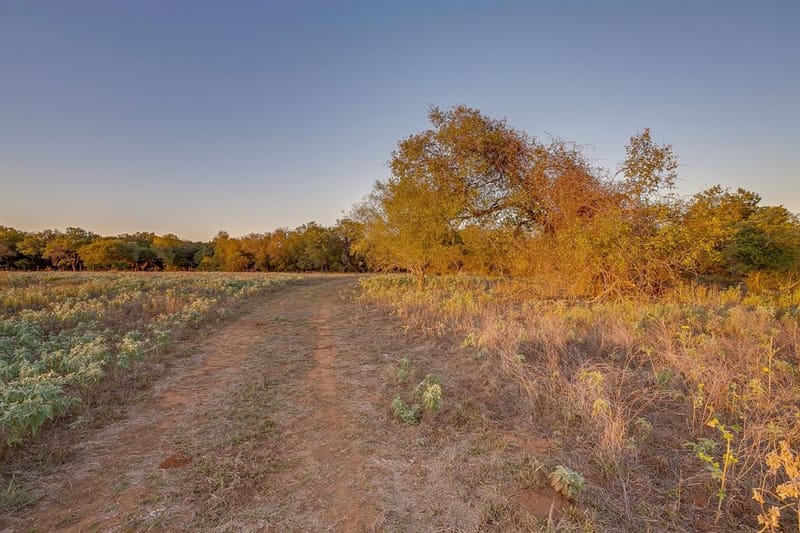51 Cattle Trail Trail, Palo Pinto TX 76484 - Photo 25