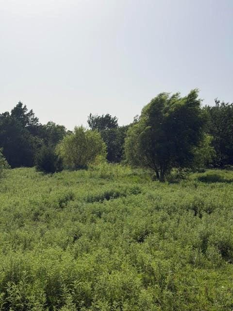387 Private Road 1452, Chico TX 76431 - Photo 17