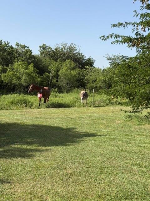 387 Private Road 1452, Chico TX 76431 - Photo 16