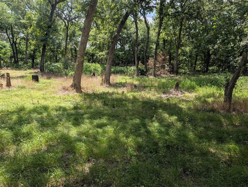 500 County Road 2405, Kemp TX 75143 - Photo 2