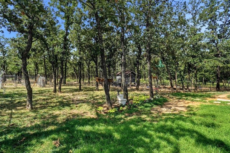 211 Spring Valley Road, Paradise TX 76073 - Photo 13
