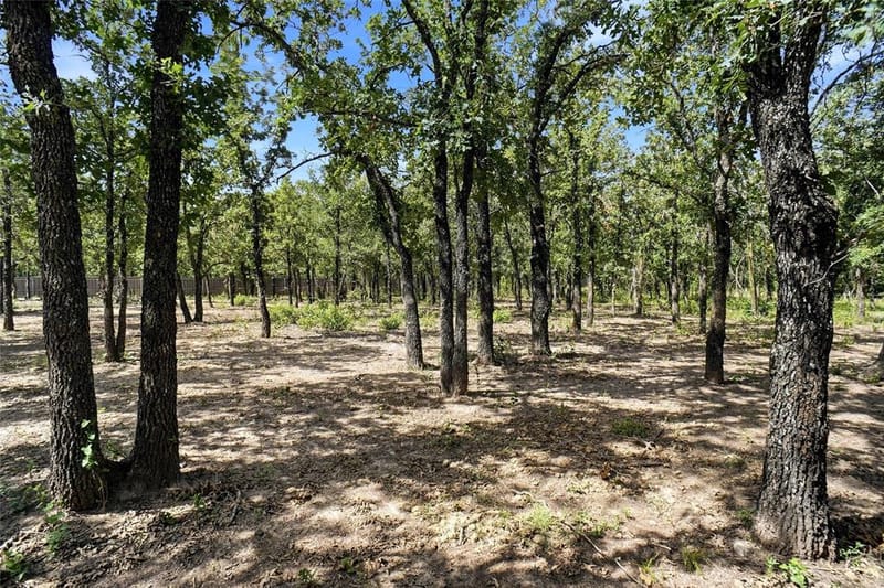 211 Spring Valley Road, Paradise TX 76073 - Photo 14