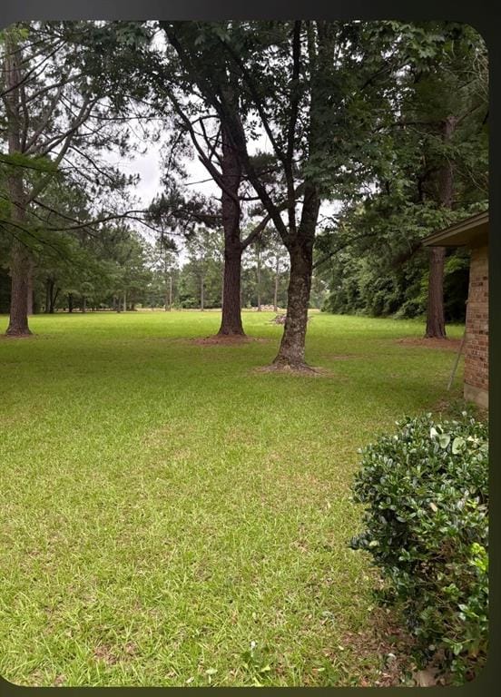 741 VZ County Road 4134, Canton TX 75103 - Photo 10