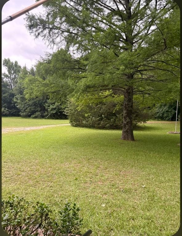 741 VZ County Road 4134, Canton TX 75103 - Photo 8