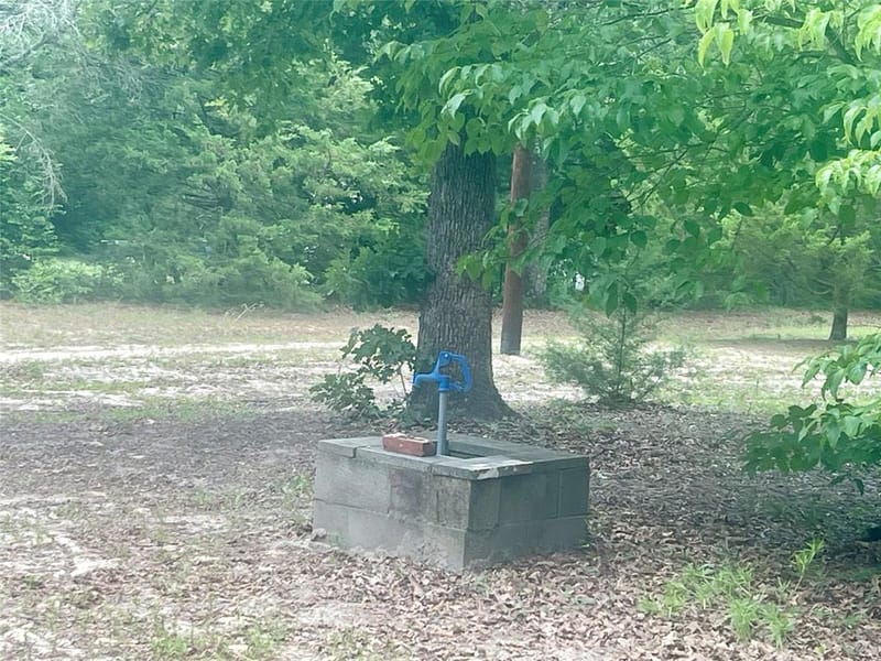 976 E Water Tower Road, Big Sandy TX 75755 - Photo 4