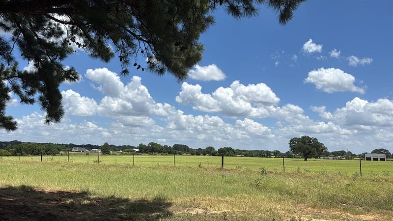 5337 Dusty Road, Athens TX 75752 - Photo 26