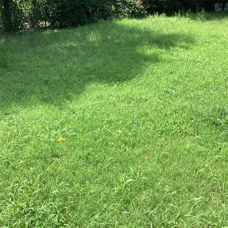 1506 S Travis Street, Denison TX 75021 - Photo 4