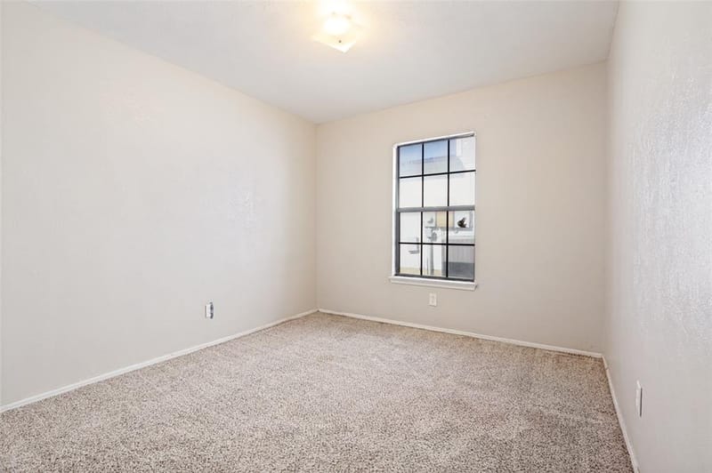 805 Whitney Street, Cedar Hill TX 75104 - Photo 21