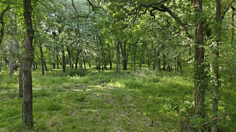 596 County Road 4668, Rhome TX 76078 - Photo 36