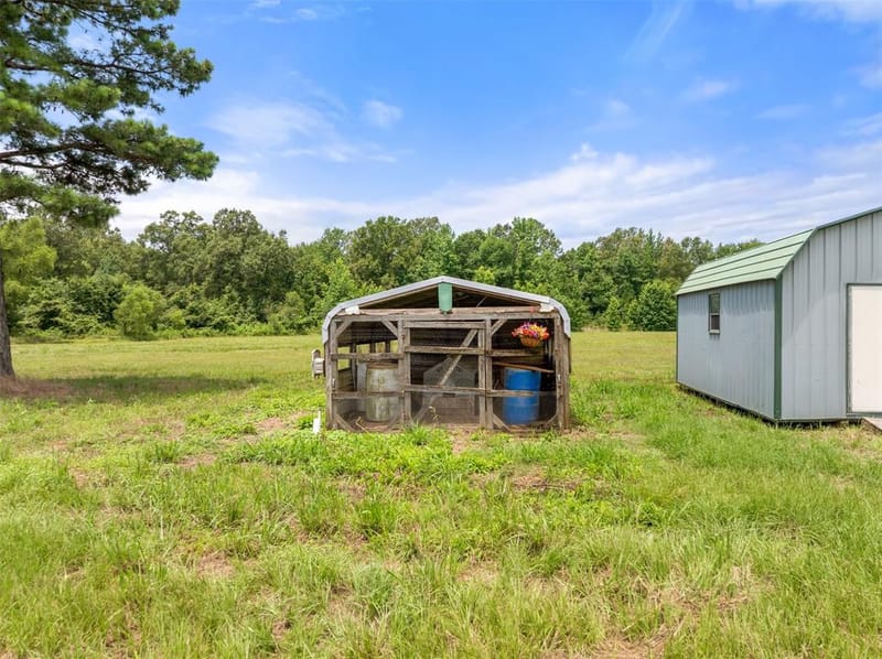 672 County Road 4960, Pittsburg TX 75686 - Photo 34