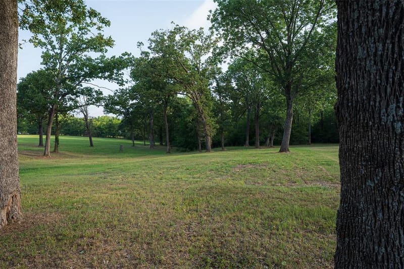 10457 State Highway 110, Van TX 75790 - Photo 6
