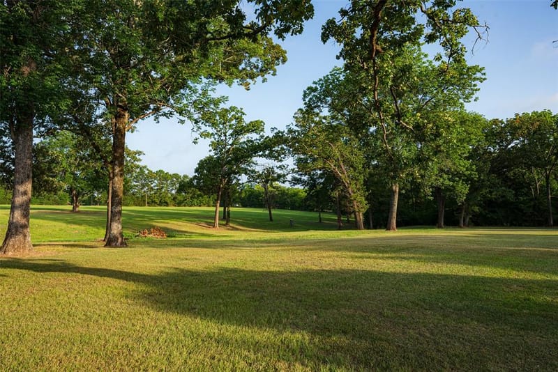 10457 State Highway 110, Van TX 75790 - Photo 29