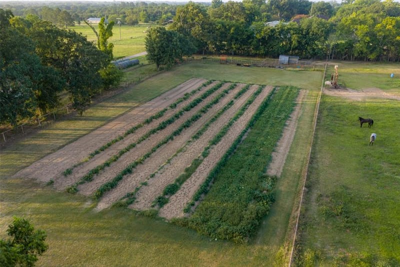 10457 State Highway 110, Van TX 75790 - Photo 8