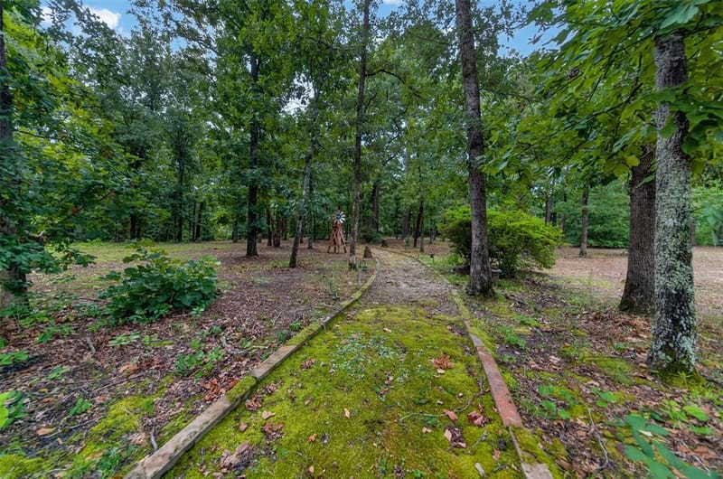 1325 Private Road 7905, Hawkins TX 75765 - Photo 3