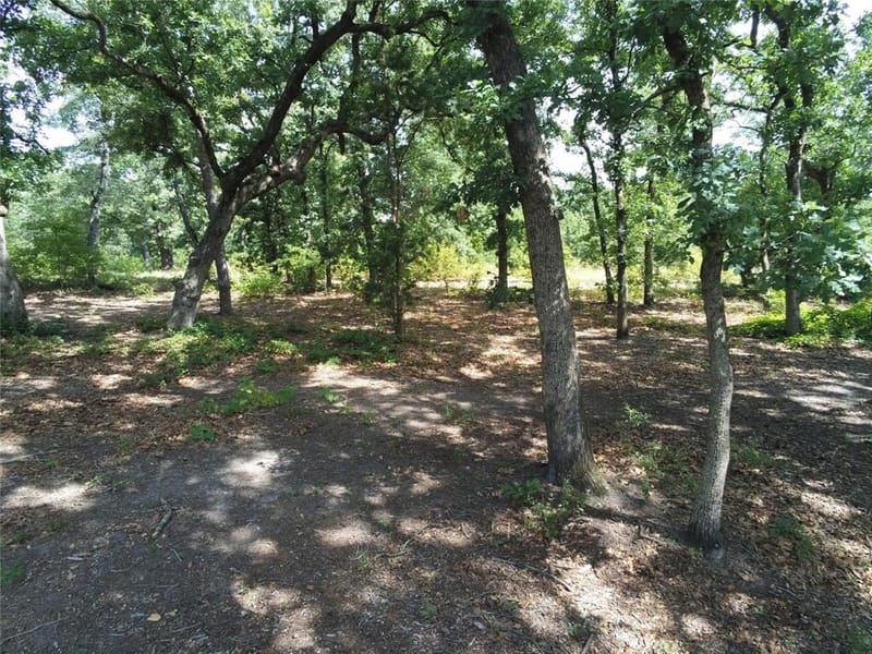 1325 Private Road 7905, Hawkins TX 75765 - Photo 40