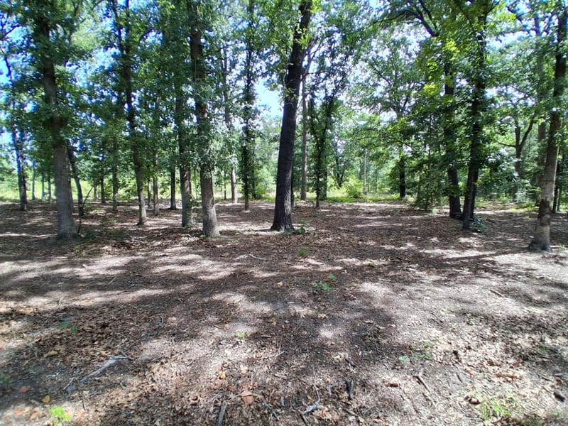 1325 Private Road 7905, Hawkins TX 75765 - Photo 39