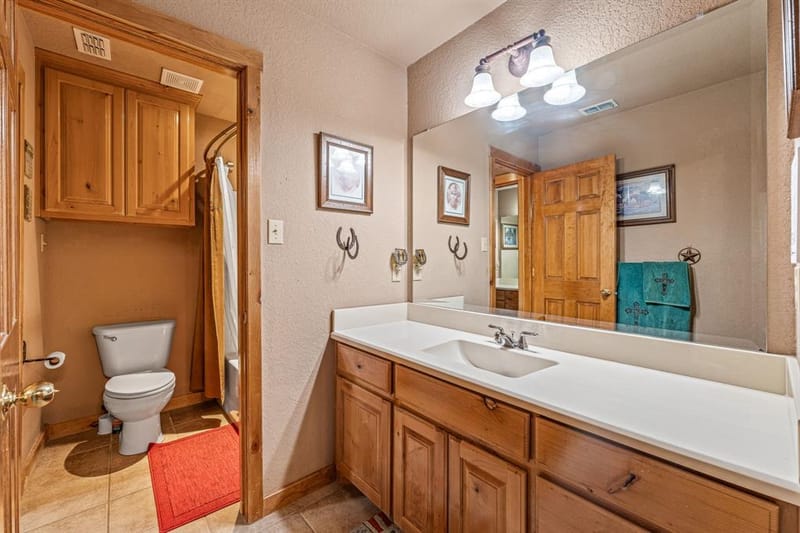 475 Magic Valley, Bluff Dale TX 76433 - Photo 20