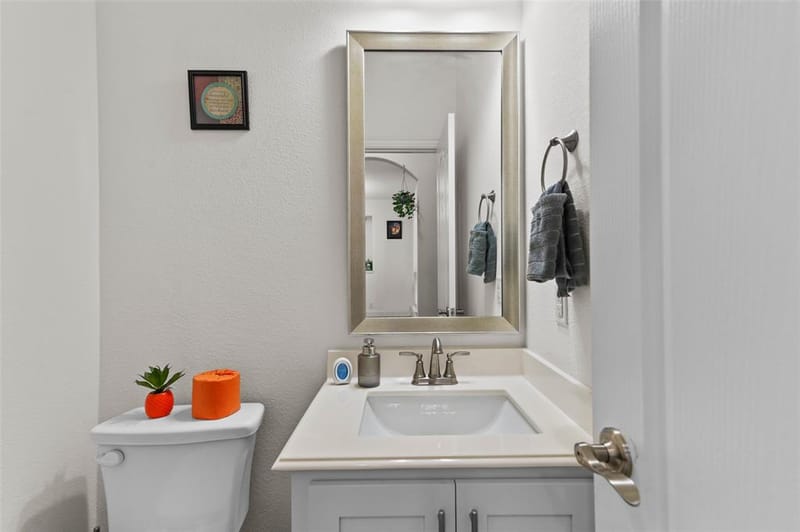 7308 Bird Cherry Lane, Little Elm TX 76227 - Photo 6