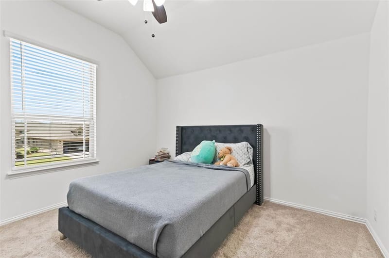 7308 Bird Cherry Lane, Little Elm TX 76227 - Photo 31