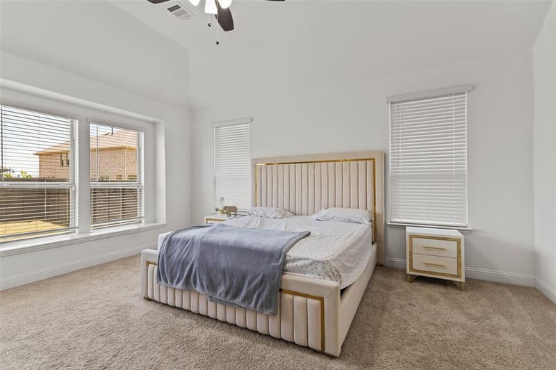 7308 Bird Cherry Lane, Little Elm TX 76227 - Photo 21