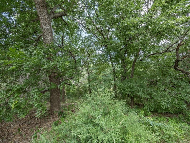 4008 Falcon Ridge Drive, Haltom City TX 76137 - Photo 40